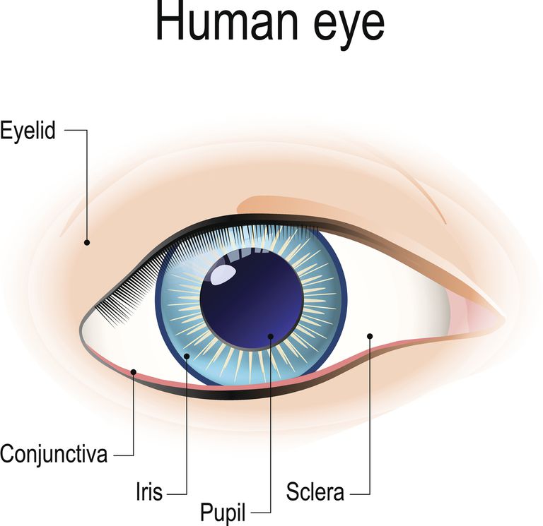 dell occhio, occhio secco, persone lupus, dell occhio secco