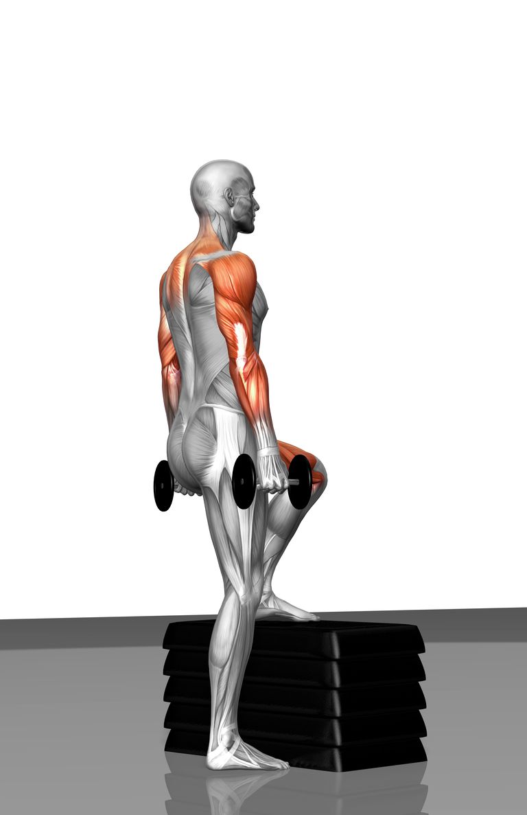 dell anca, della coscia, gamba singola, muscoli posteriori