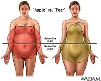 grasso corporeo, della vita, malattie cardiache, uomini donne, massa corporea, possono essere