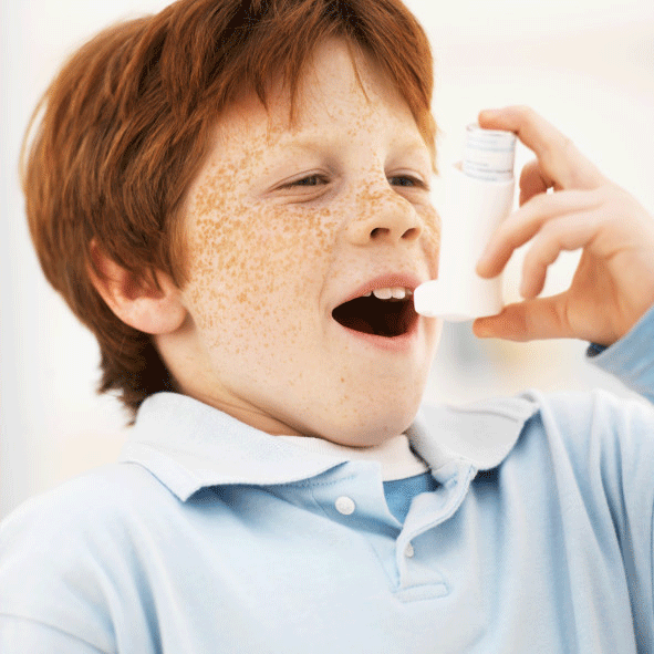 asma allergico, dell asma, allergie asma, dell asma allergico, fattori rischio, trattamento dell