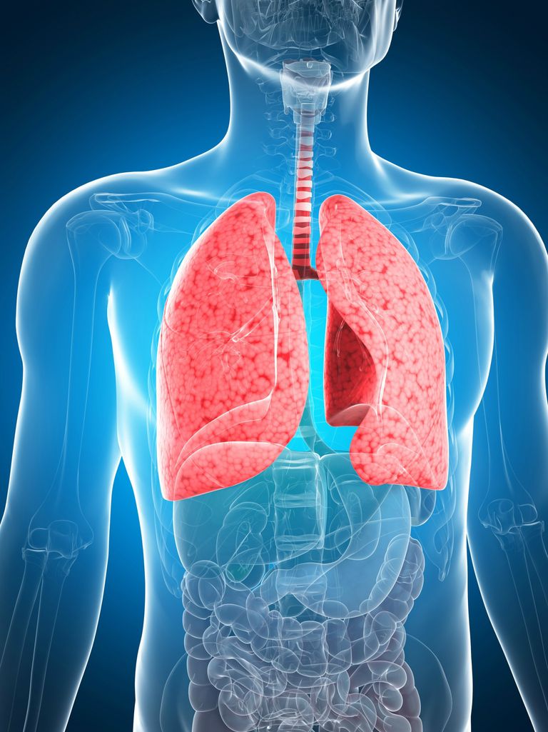 polmonite batterica, della BPCO, comuni polmonite, comuni polmonite batterica, contro polmonite