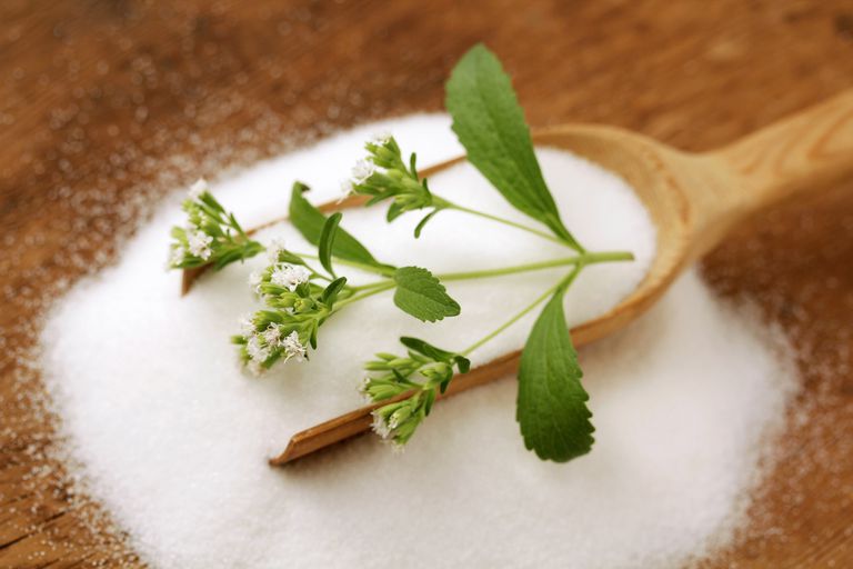 estratto stevia, approvazione della, calorie estratto, come dolcificante