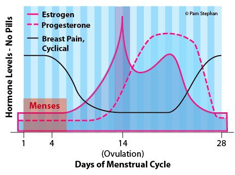 dolore seno, pillole anticoncezionali, periodi mestruali