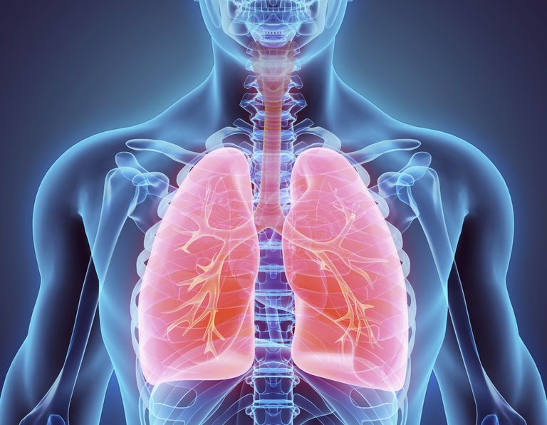 cancro polmoni, della procedura, broncoscopio rigido, cancro polmone