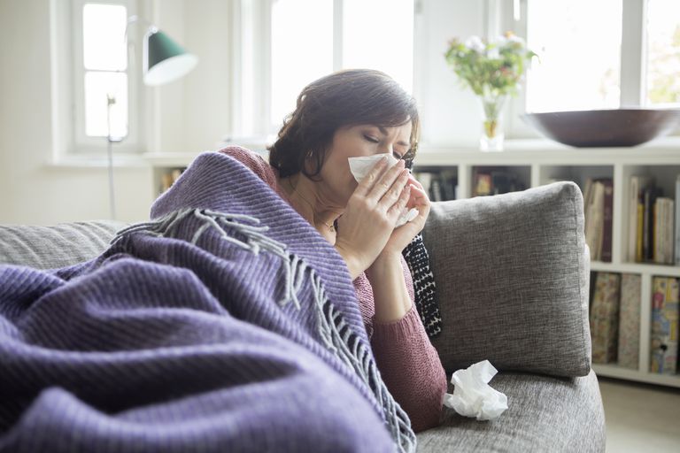 ginseng americano, sistema immunitario, americano ginseng, combattere raffreddori, combattono raffreddore