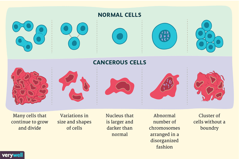 cellule normali, cellule tumorali, delle cellule