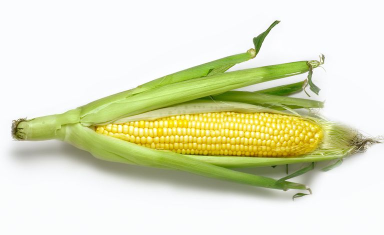 amido mais, altri cereali, olio mais, alimenti possono, allergiche mais