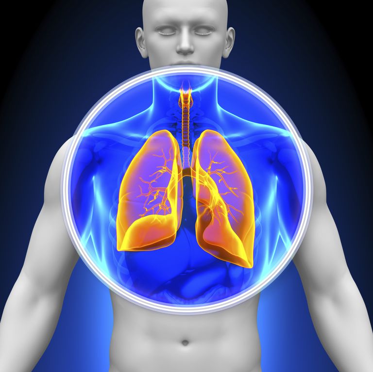 piccole cellule, cancro polmoni, polmonare piccole, polmonare piccole cellule, maggior parte, tumore polmonare