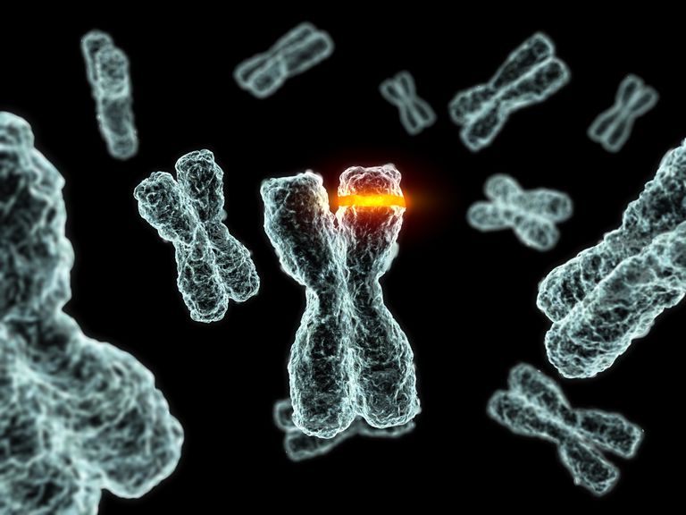 parte cromosoma, cambiamenti genetici, nostra sonda, tipo cancro