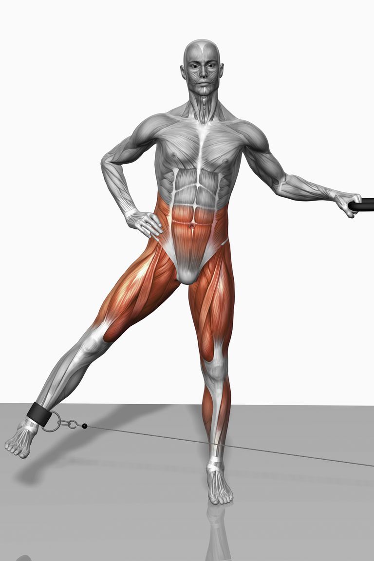 dell anca, centro corpo, dalla linea, dalla linea mediana, delle dita