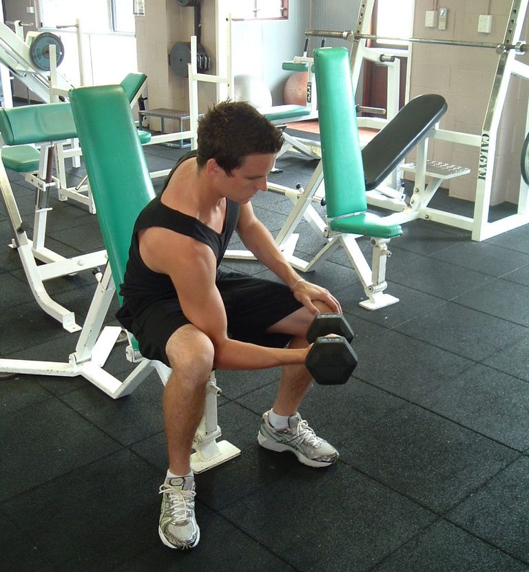 allenamento resistenza, allenamento pesi, Fondamenti allenamento, gruppi muscolari, pesi allenamento