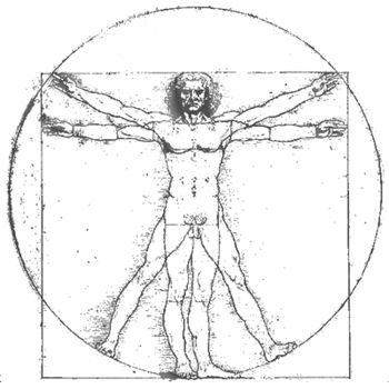 parte anteriore, parte corpo, posizione anatomica, alla Parte, anteriore corpo