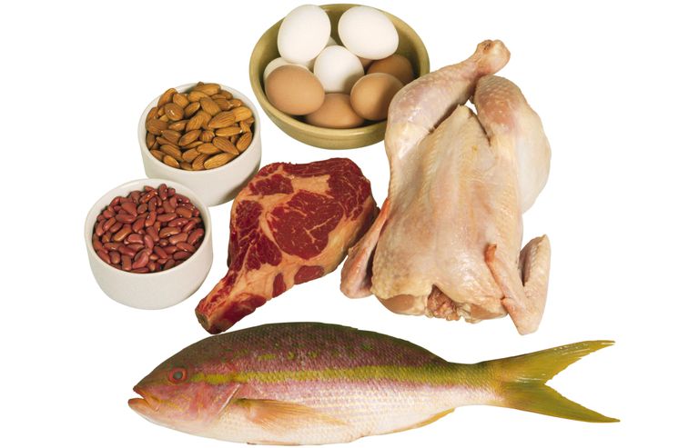 bisogno circa, fonti proteine, grammi proteine, pollame pesce