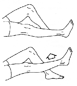 della gamba, della gamba dritta, gamba dritta, sollevamento della, sollevamento della gamba, arti inferiori