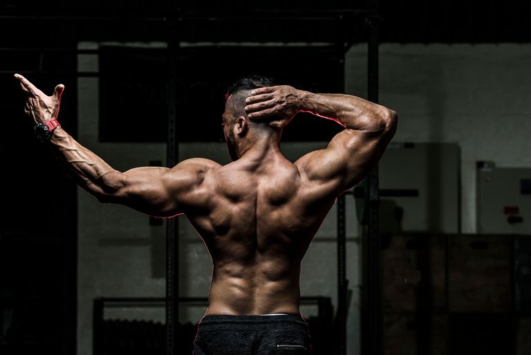 crescita muscolare, massa magra, costruzione muscolare, definizione muscolare