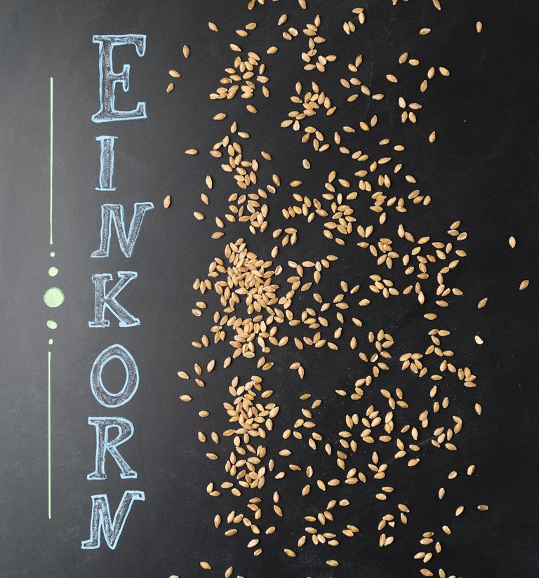 grano Einkorn, forme grano, senza glutine, sistema immunitario, studio pubblicato, altre forme