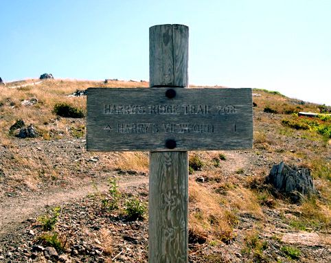 Johnston Ridge, Spirit Lake, Mount Helens, Boundary Trail