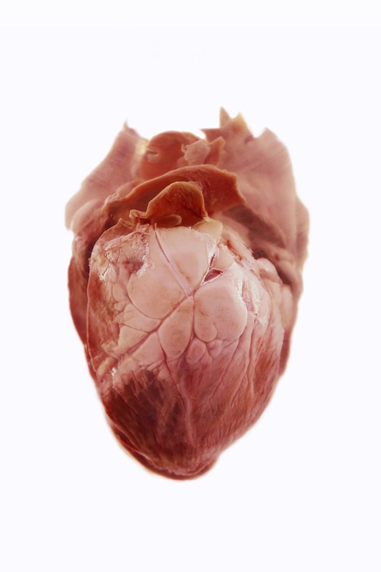scansione MUGA, funzione cardiaca, della funzione, della funzione cardiaca, frazione eiezione