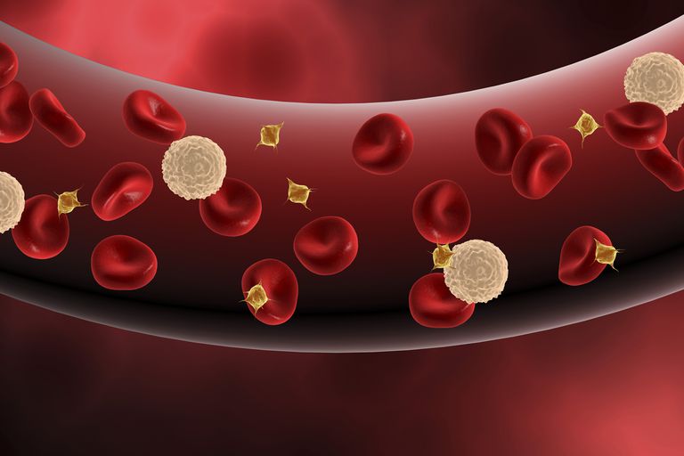 della plasmaferesi, effetti collaterali, aggiunto sangue, cellule sangue, componenti cellulari, nell altro