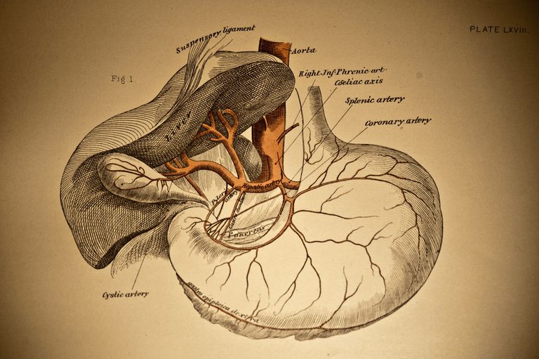 calcoli renali, calcoli biliari, alla prostata, alla schiena, aorta addominale, dell aorta