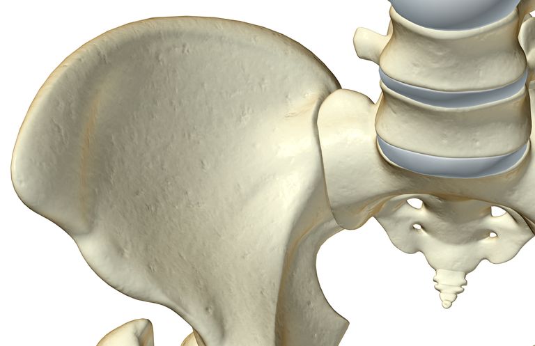osso sacro, dell articolazione, articolazione sacroiliaca, colonna vertebrale, parte posteriore
