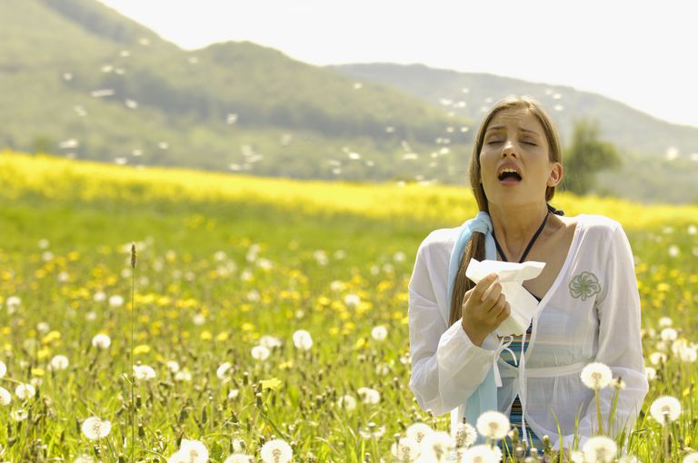 allergie stagionali, questo trattamento, aria aperta, conteggi polline