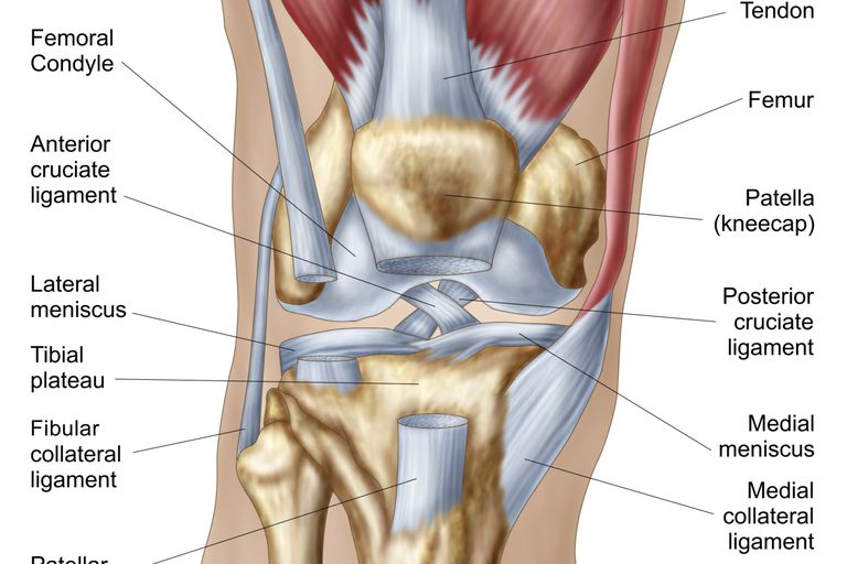 dolore ginocchio, Artrite reumatoide, dell articolazione, della cartilagine