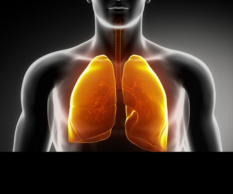 cancro polmone, stadio iniziale, fase iniziale, cancro polmoni, allo stadio, allo stadio iniziale