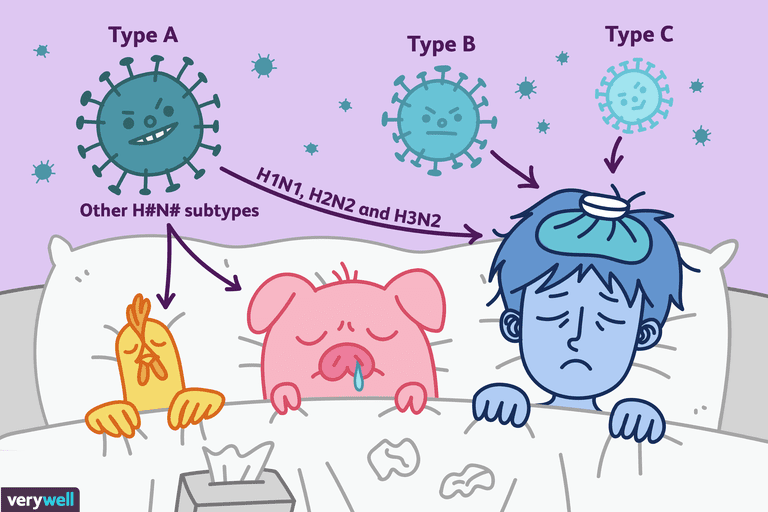 dell influenza, virus dell, virus dell influenza, ceppi influenza, influenza sono, vaccino antinfluenzale